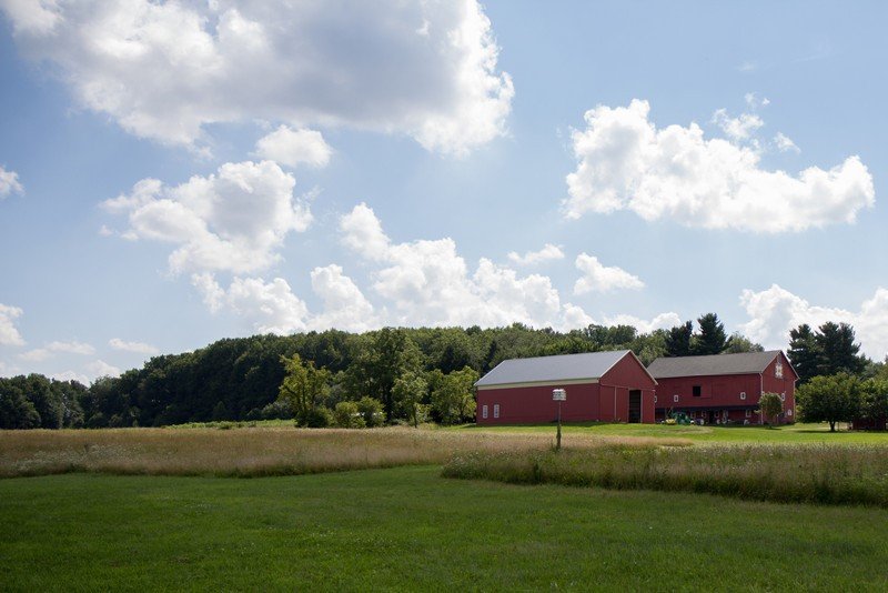 Crown Point Ecology Center - Improving the Wastewater Wetland Treatment ...